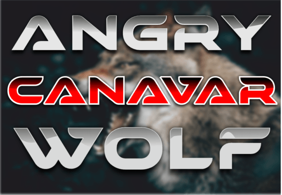 Canavar: A Bold Display Font That Elevates Real Business Branding