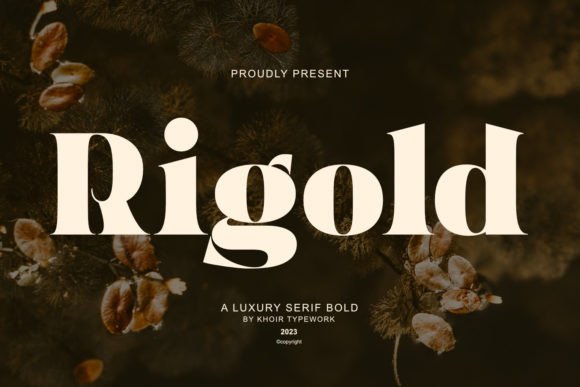 Rigold: A Display Font That Elevates Digital Branding